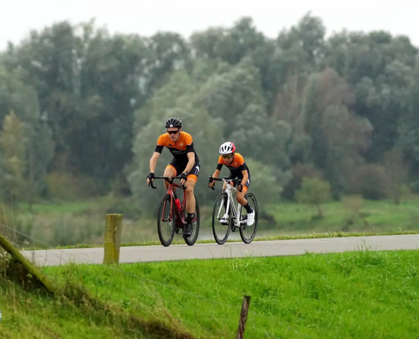 53255864441_e7ca049dd6_o