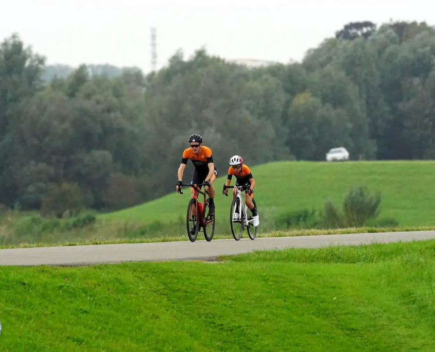 53256152993_b1fa1d7b39_o